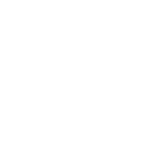 Growth Strategy